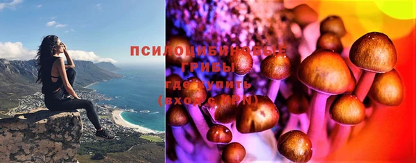 мяу мяу мука Алексин